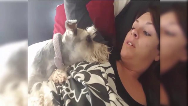 Pets are the best alarm clocks...