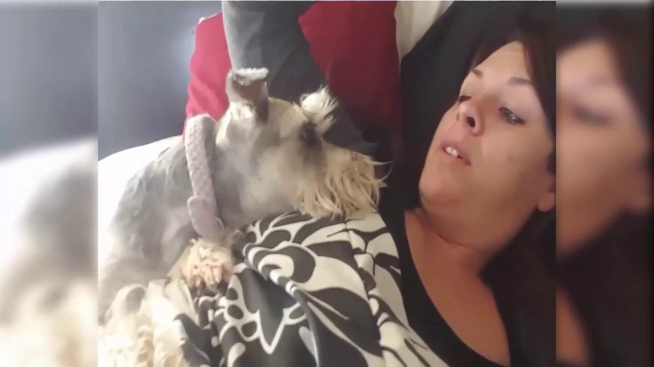 Pets are the best alarm clocks...