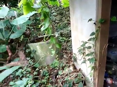 lost places, house 4 sale including a nice boat, verlassene Orte