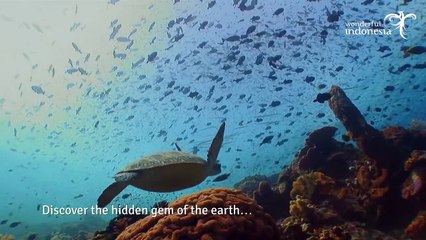 Wonderful Indonesia - Nature
