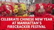 New York's Chinatown celebrates Chinese New Year with firecrackers and dancing dragons