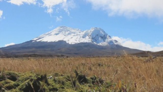 Océanos y criósfera dan cuenta del acelerado cambio climático según expertos