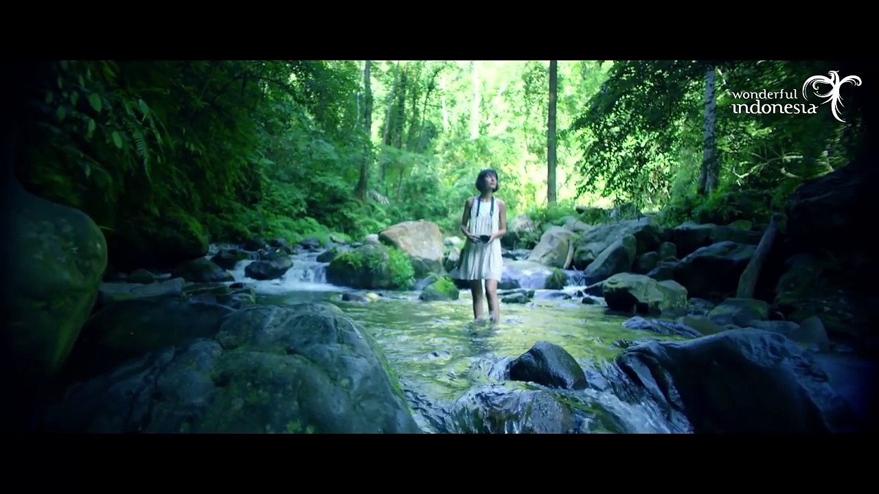 Explore Further and Higher in the World of Wonders