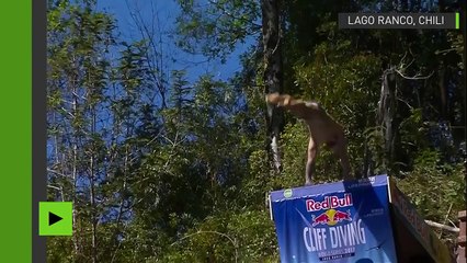 Le Red Bull Cliff Diving au Chili : le plongeon de l'extrême, aussi spectaculaire que dangereux