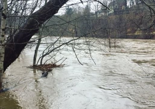 Heavy Rains, Snowmelt Triggers Flooding in Johnstown