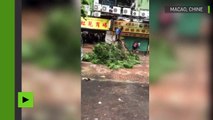 Chine : des personnes emportées par le vent et les rues de Macao dévastées après le passage de Hato