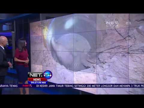 Aksi Penyelamatan Anak Gajah Yang Berlangsung Dramatis - NET 24