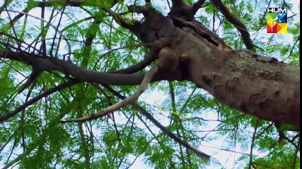 Belapur Ki Dayan - An Intriguing Horror Drama