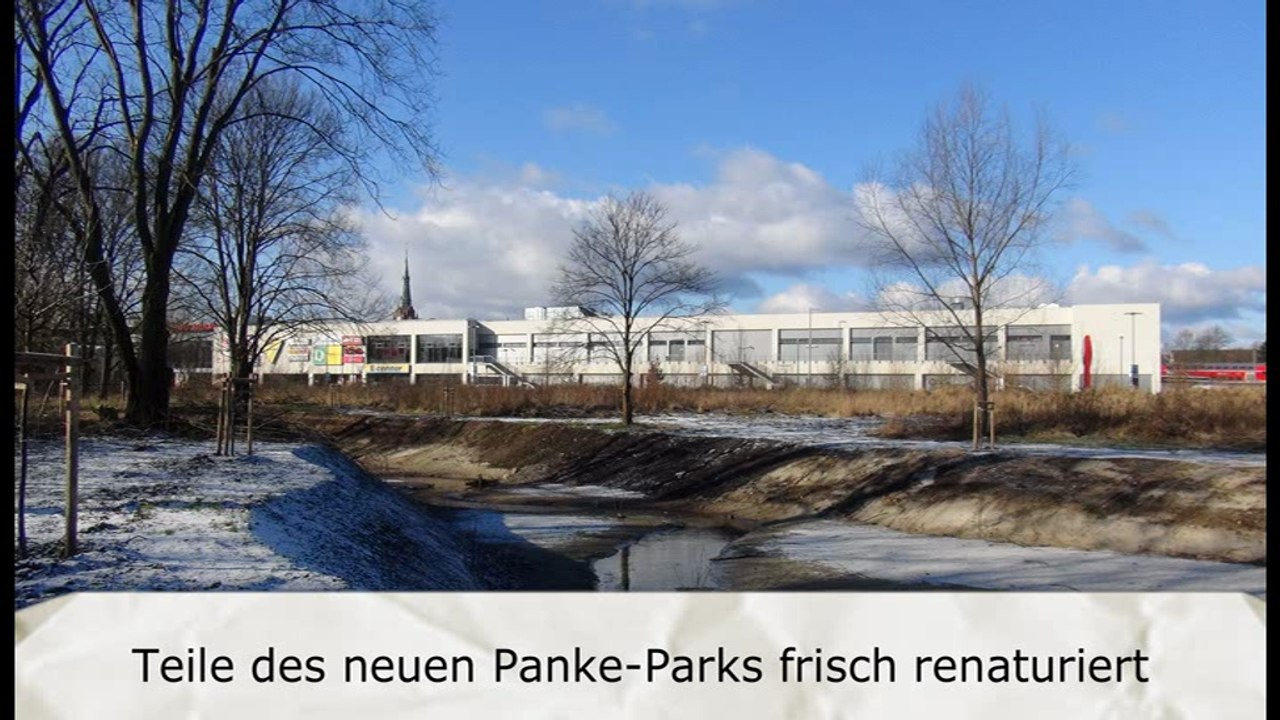 Teile des neuen Panke-Parks frisch renaturiert