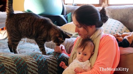 Baby's First Time Petting Kitties ( 1080 X 1920 )