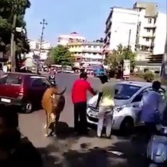 Mothers Love in animals-vgr4c7