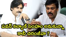 Pawan Kalyan Lion’s Roar Gone,Slowly Becoming Chiranjeevi