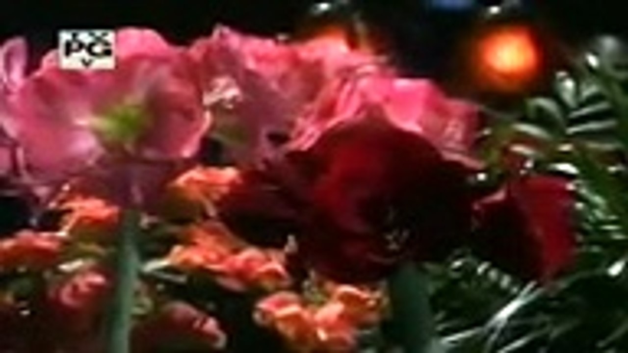 Beyond Belief_ Fact Or Fiction Season 4 Episode 8 Fact Or Fiction_ , tv hd 2018 online free