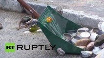 Corse : du verre brisé et des grenades  lacrymogènes dans les rues de Corte après une nuit d’émeutes