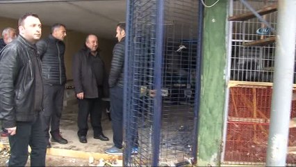 Zonguldak'ta kıyı kenar çizgisindeki yapıların yıkımına başlandı