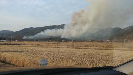 설 연휴 산불 비상...오늘 전국서 10여 건 발생 / YTN