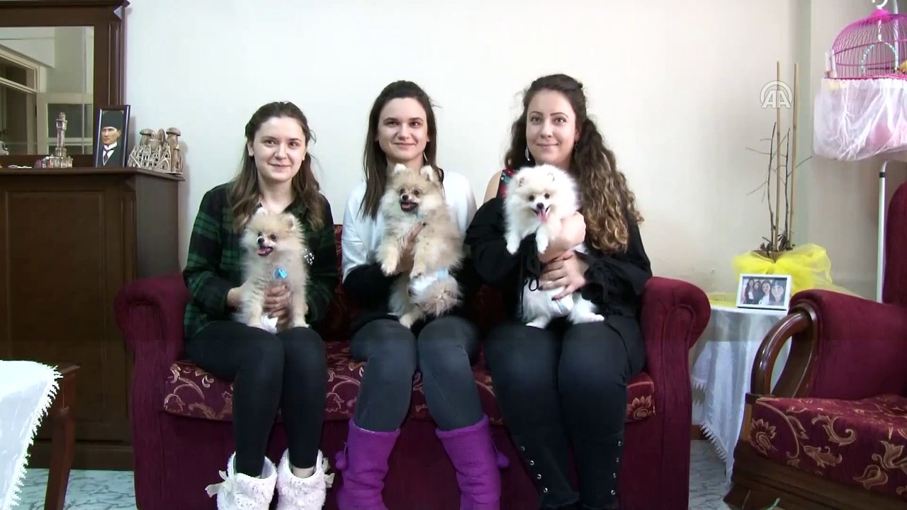 Üniversite öğrencisi, yavru köpeklere 'yediemin' oldu - EDİRNE