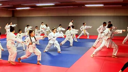 Open international de taekwondo de Limoges