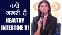 Shilpa Shetty talks about the IMPORTANCE of Healthy Gut (Intestine); Watch Video | Boldsky