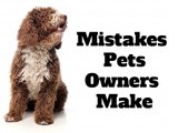 10 Mistakes Even The Most Loving Owners Of Pets Make
