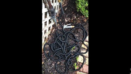 Effet « serpent » avec un tuyau d'arrosage