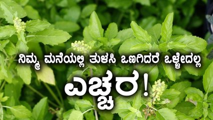 ನಿಮ್ಮ ಮನೆಯಲ್ಲಿ ತುಳಸಿ ಗಿಡ ಒಣಗಿದರೆ ಏನನ್ನ ಸೂಚಿಸುತ್ತೆ | Oneindia Kannada