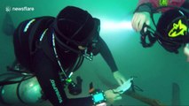 Underwater proposal - couple get engaged 30 metres under water