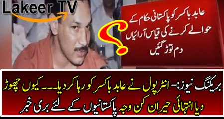 Breaking News From Interpol about Abid Boxer