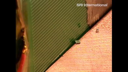 The Little Bots That Build Structures