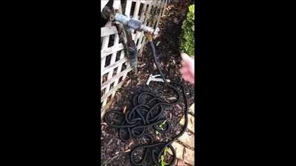 Ce tuyau d'arrosage se transforme en serpent!