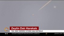 Zeytin Dalı Harekatı