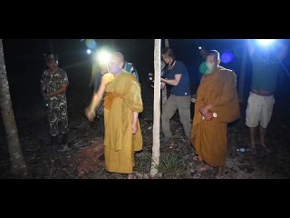 Heart-warming moment baby elephant is rescued from deep well