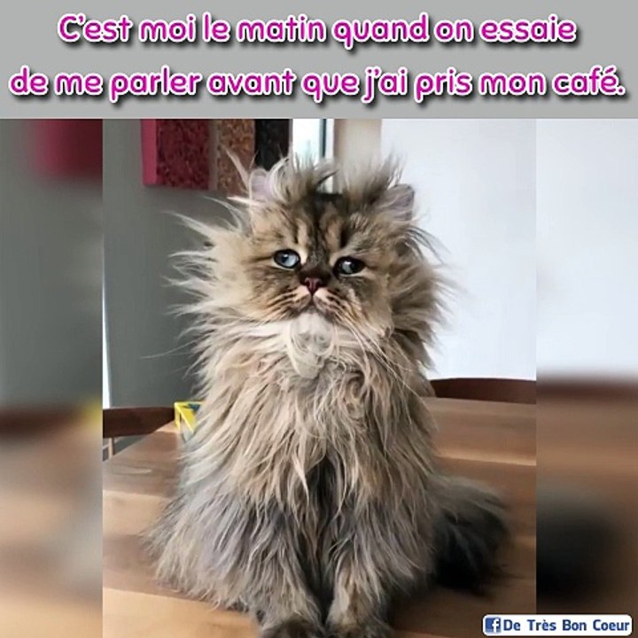 Moi... le matin