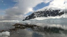 Greenpeace quiere un santuario marino en aguas de la Antártida
