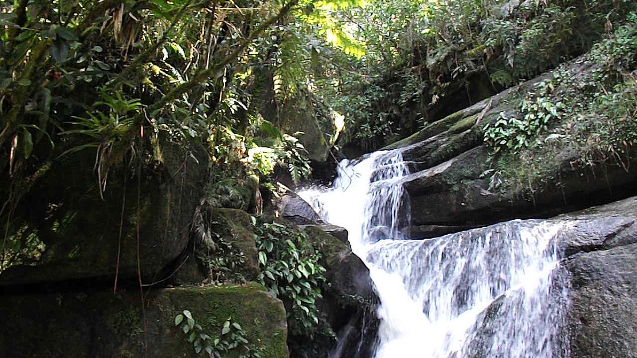 salto do tigre