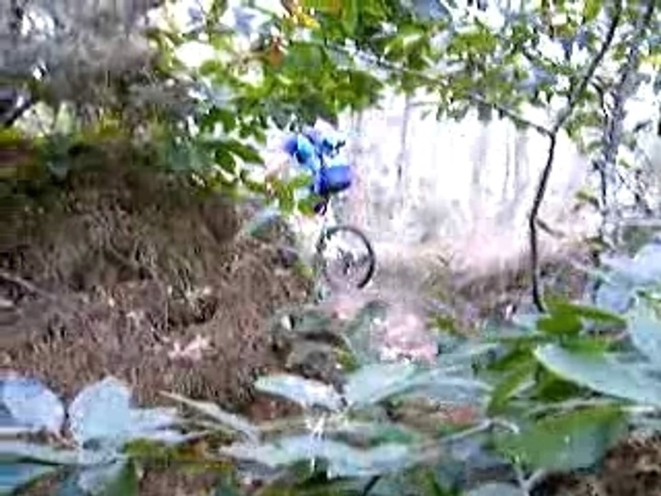 Néné à Guémené-Penfao