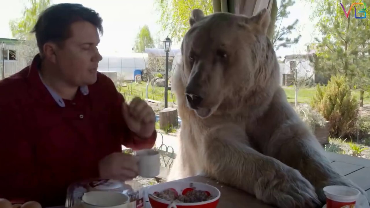 Friendly Dangerous Animals as Pets - Unusual Animals