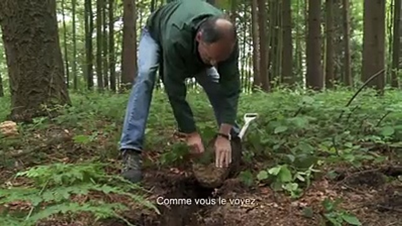 Le test de la bêche ...