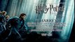 Harry Potter et les Reliques de la Mort - Extrait Officiel 