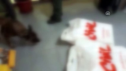 Kargoyla yurt dışına uyuşturucu sevkiyatı - ŞANLIURFA