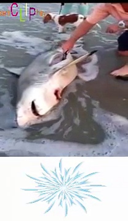 doremon│xem phim doremon│doremon tap cuoi│phim doremon tieng viet 2015