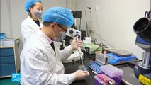 باحثون صينيون ينجحون في استنساخ اثنين من قردة المكاك