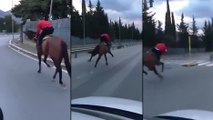 Une voiture fait la course avec un cheval et provoque un fail