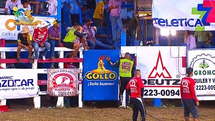 Pequeños Toreros 17 Febrero 2018