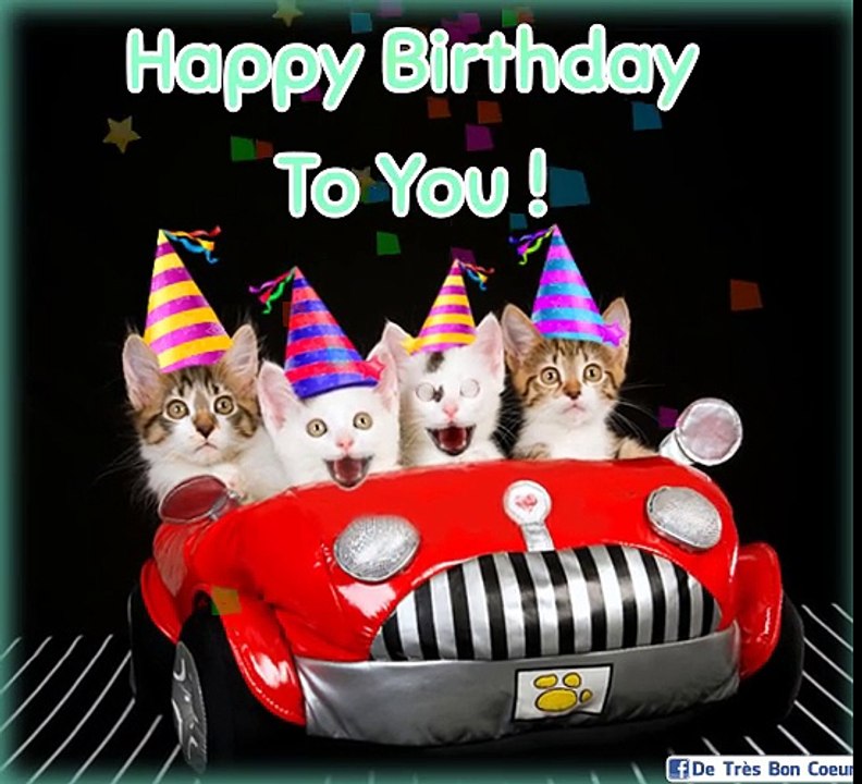 KITTENS SINGING HAPPY BIRTHDAY! - Vidéo Dailymotion