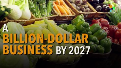 A Billion-dollar Business of 'fake food'