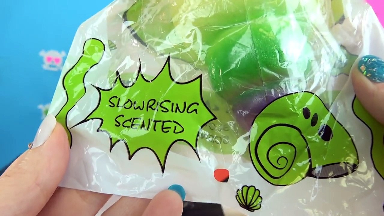 Wheel Of Squish! Slow Rising Squishy Rainbow Shell! Doctor Squish ...