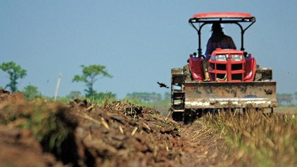 Agricultura e mineração impulsionam crescimento da indústria no Pará