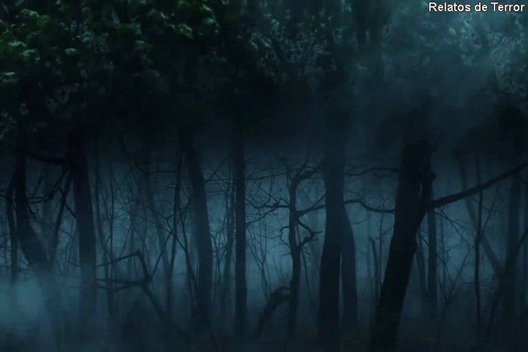 Los Ladrones de Cuerpos [Capitulo 1]