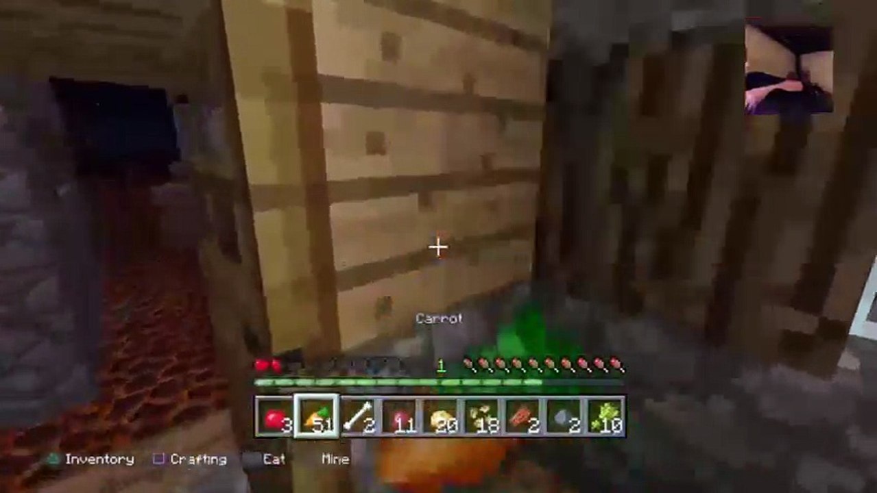Minecraft #4 (68)
